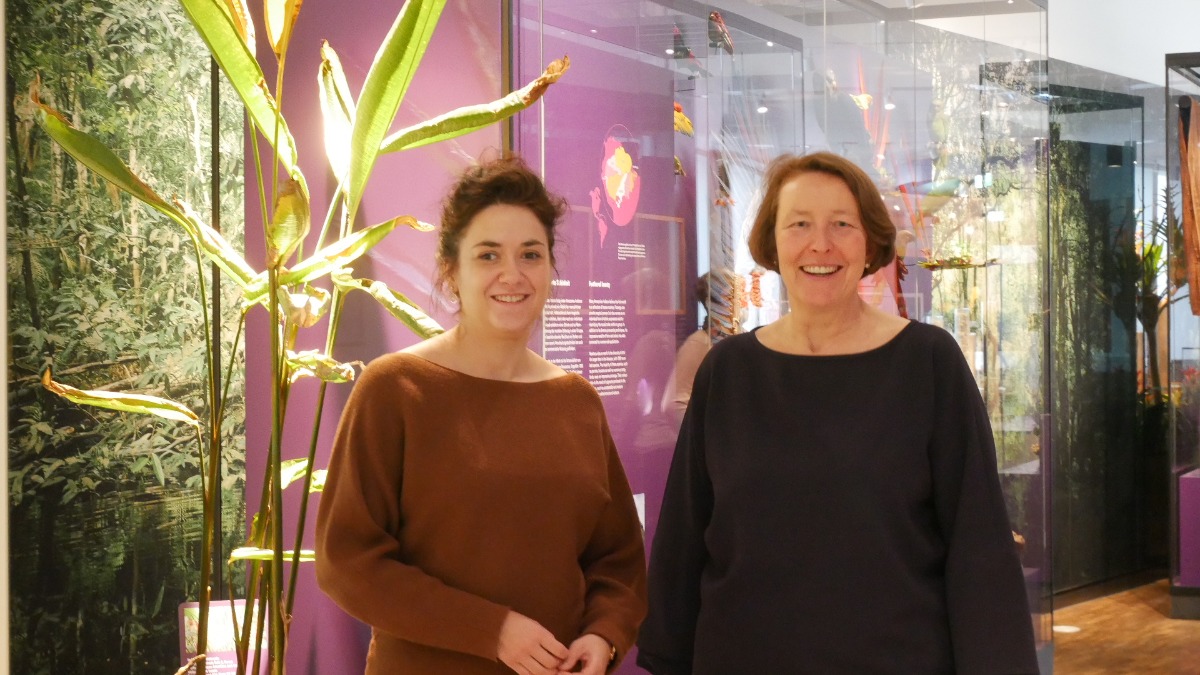 Projekt zur Rettung der Textilien-Sammlung des Überseemuseums